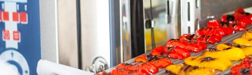 eloma combisteamer 500x150