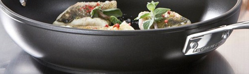 inductie wok wokken wadjans sfeer-500x150