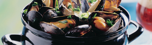 mosselpan-overige-pannen-sfeer-500x150px