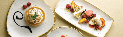 churchill stonecast landelijk servies wit spikkels gespikkeld hotelporselein barley white-SF