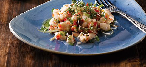 Churchill Stonecast 'Cornflower Blue'