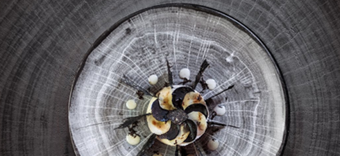 RAK Porcelain - Woodart 'Beech Grey'