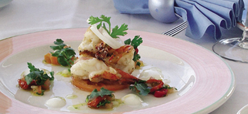 Cosmo Rose - Continental China