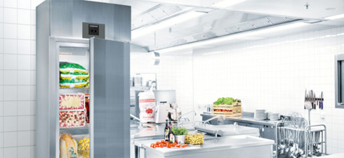 Liebherr vrieskasten